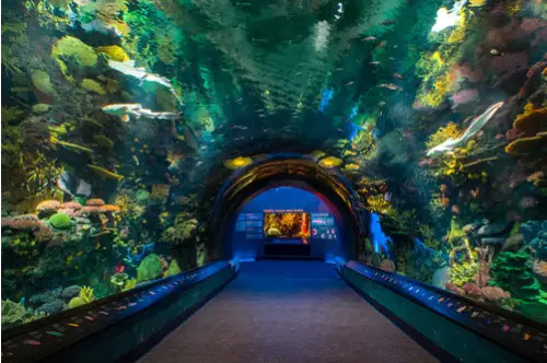 New York Aquarium