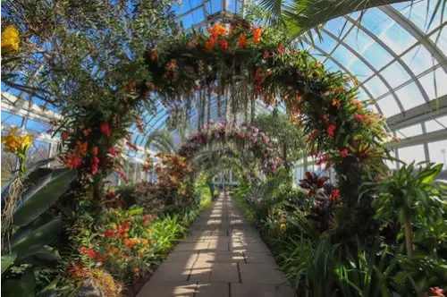 New York Botanical Garden