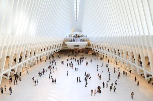 The Oculus