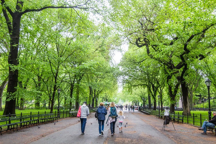 central park